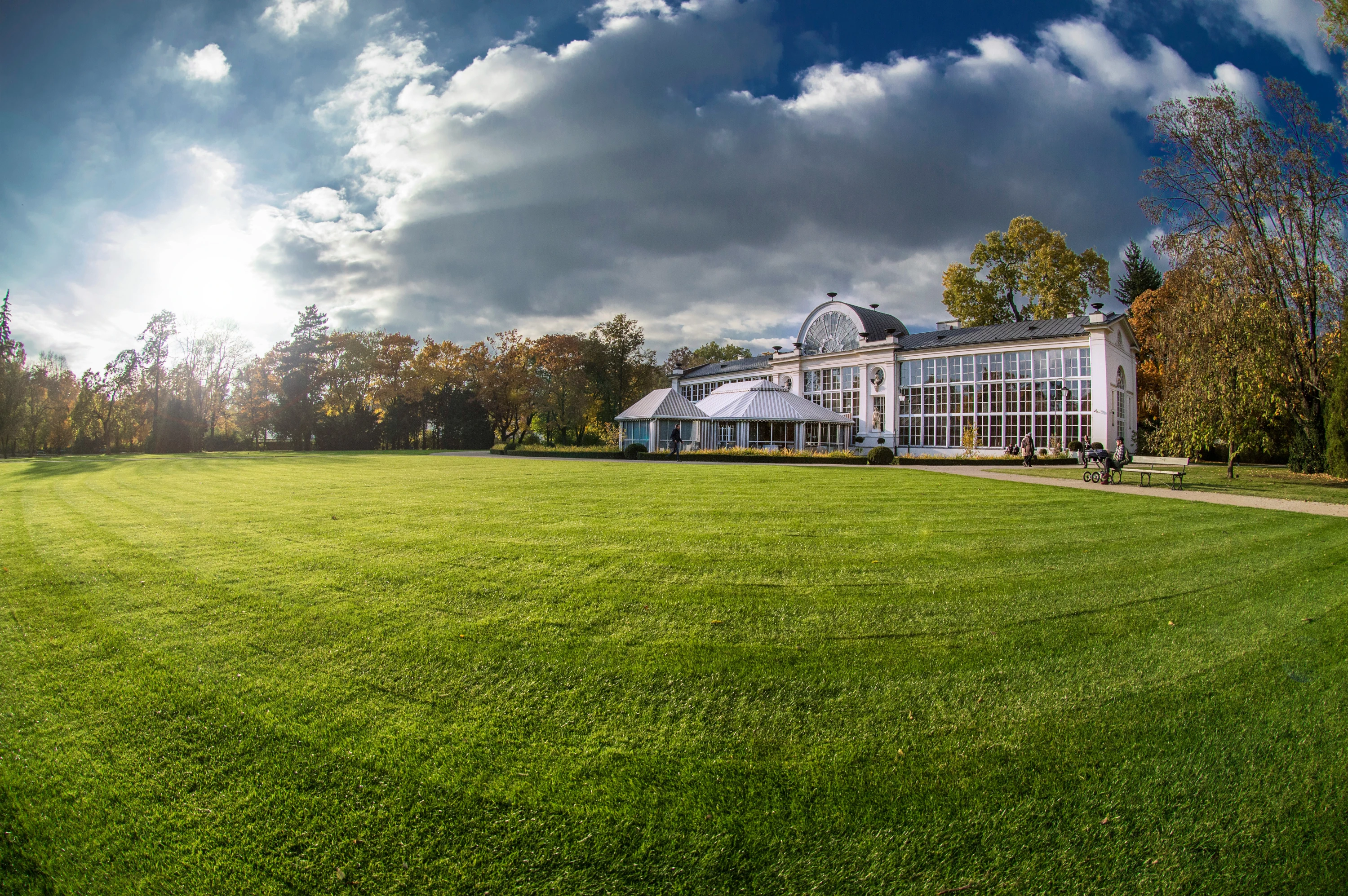lawn care