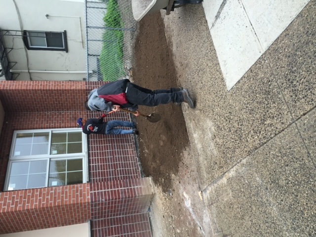 top-soil