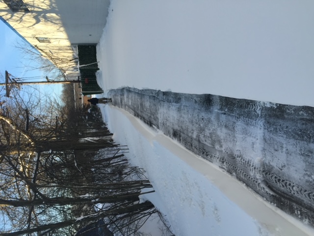 walkway cleared of snow
